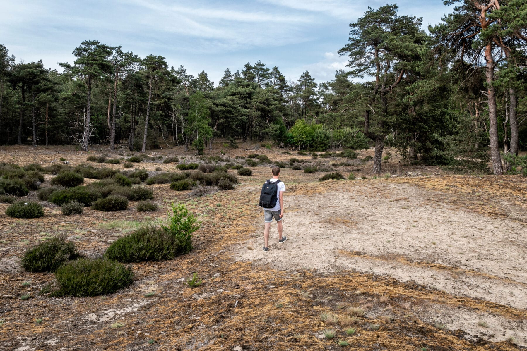 Veluwezoom Jeroen van Rooijen