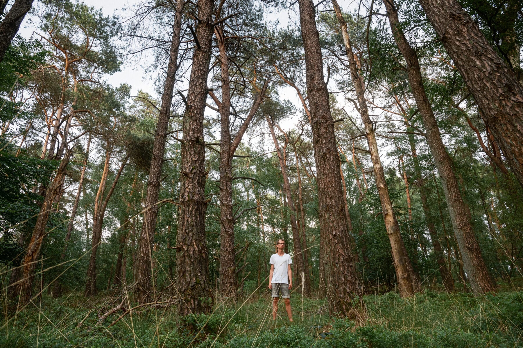 Veluwezoom Jeroen van Rooijen