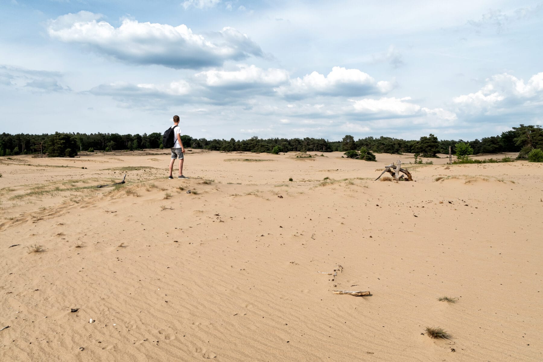 Wandelen Veluwezoom Jeroen van Rooijen