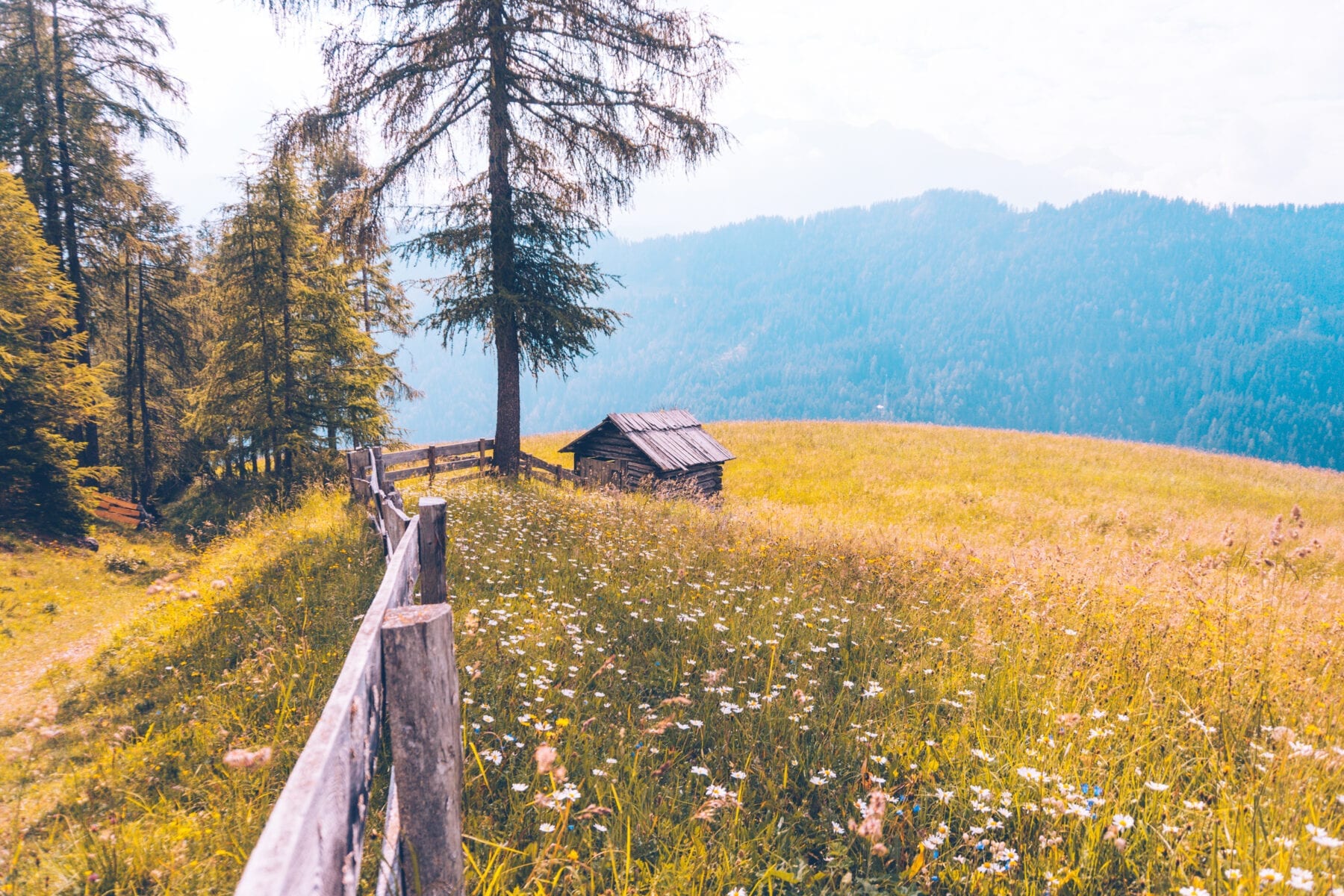 Puez-Geisler Naturpark in Zuid-Tirol