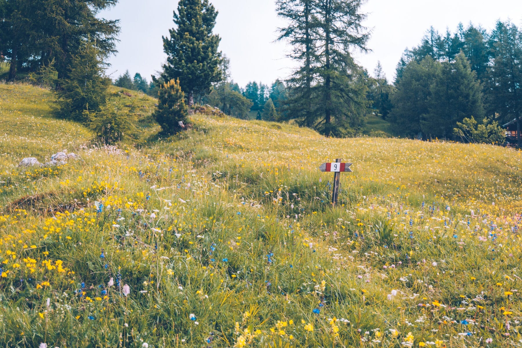 Puez-Geisler Naturpark in Zuid-Tirol