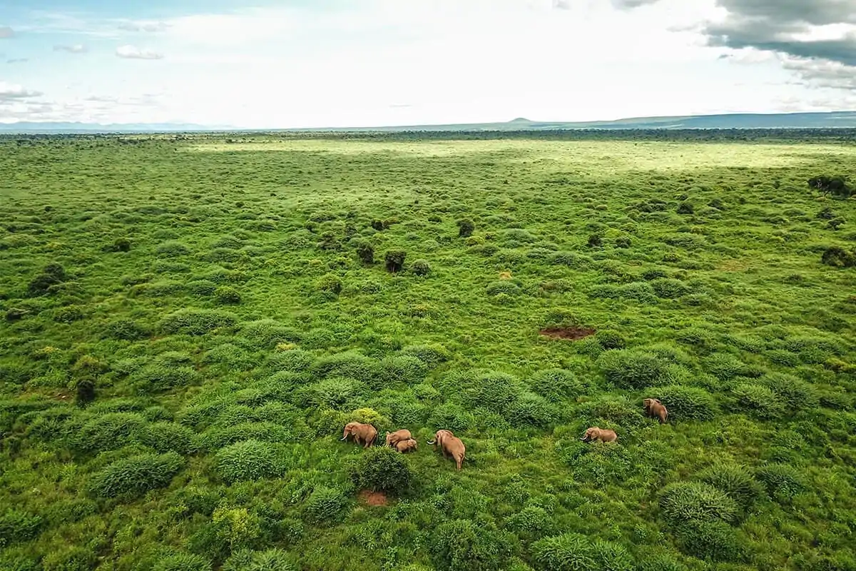 Kenia National Park