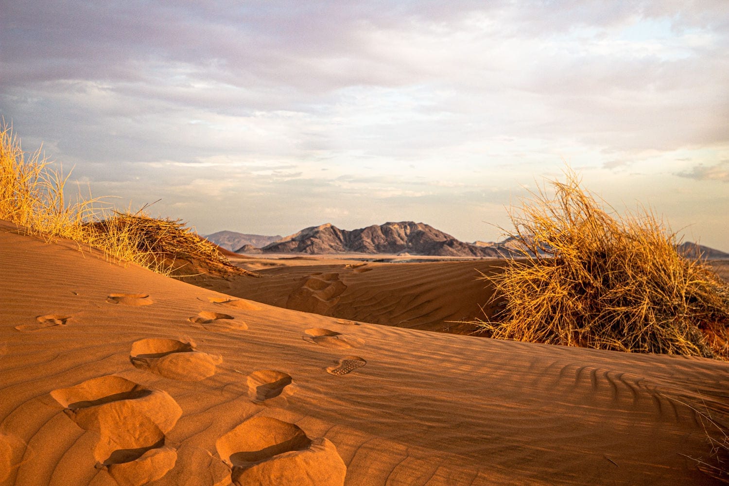 rondreizen Afrika Namibië woestijn