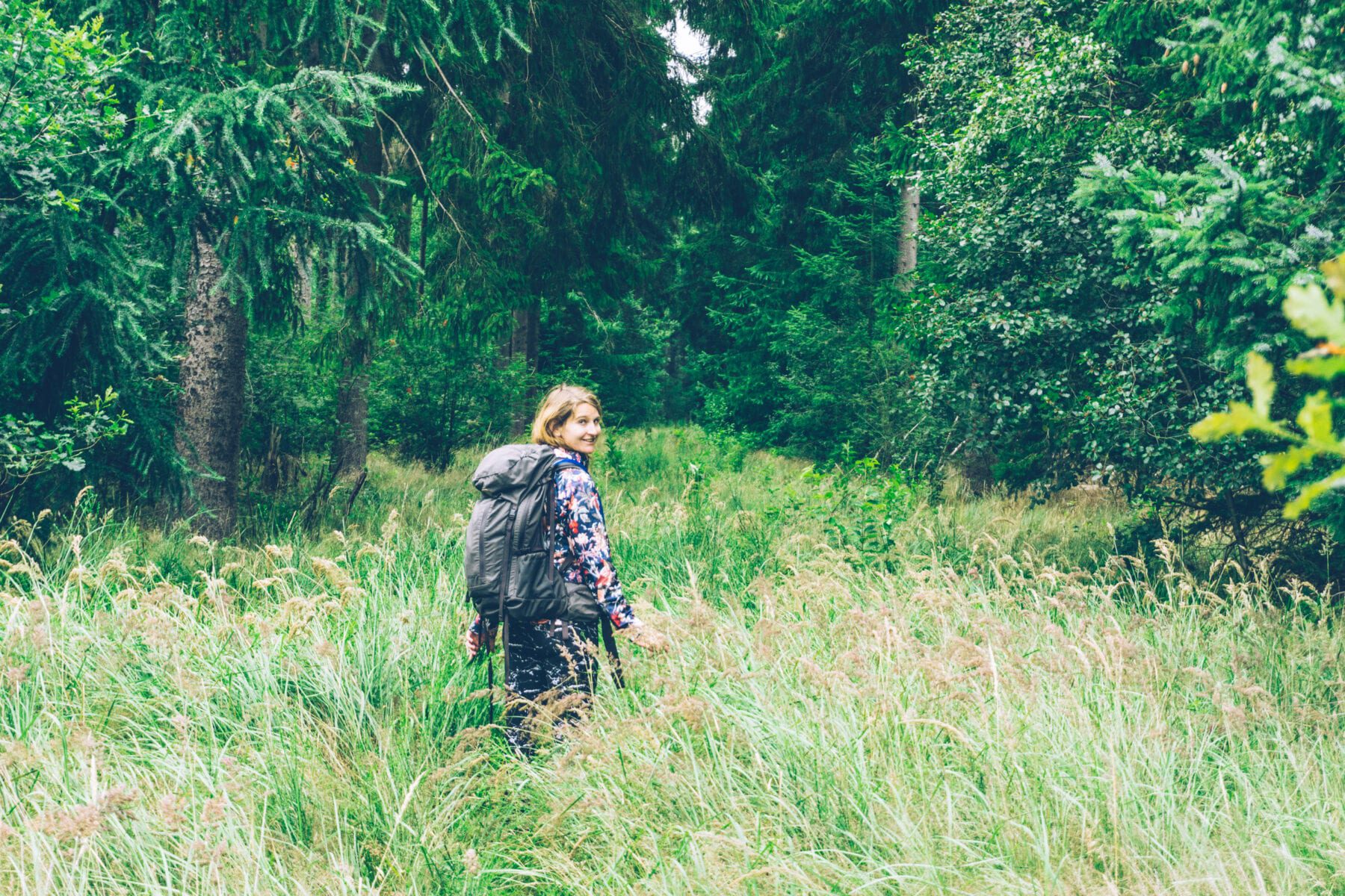 Wandelen Drentsche Aa