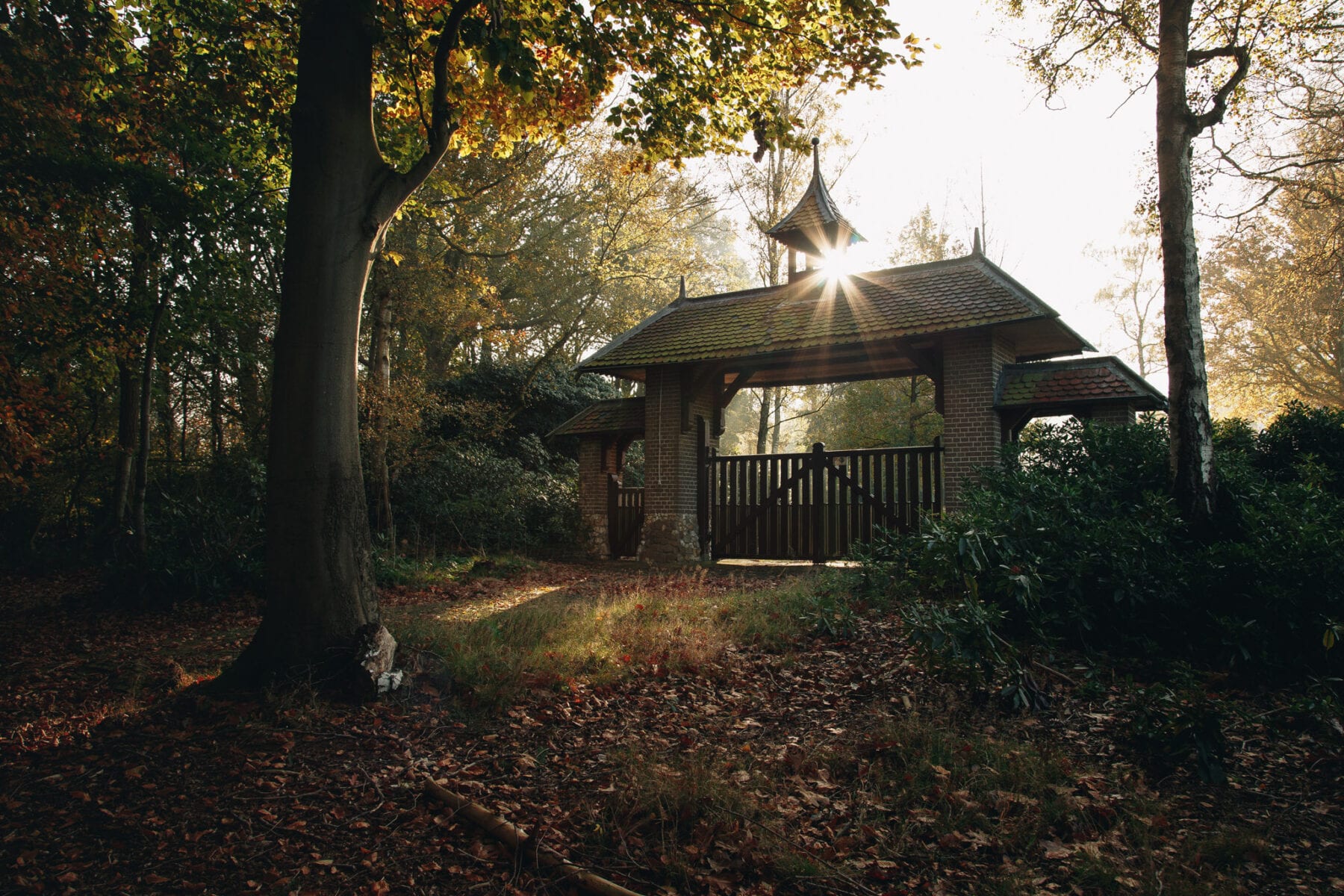 Nationaal Park de Sallandse Heuvelrug foto Ronald Jansen 6