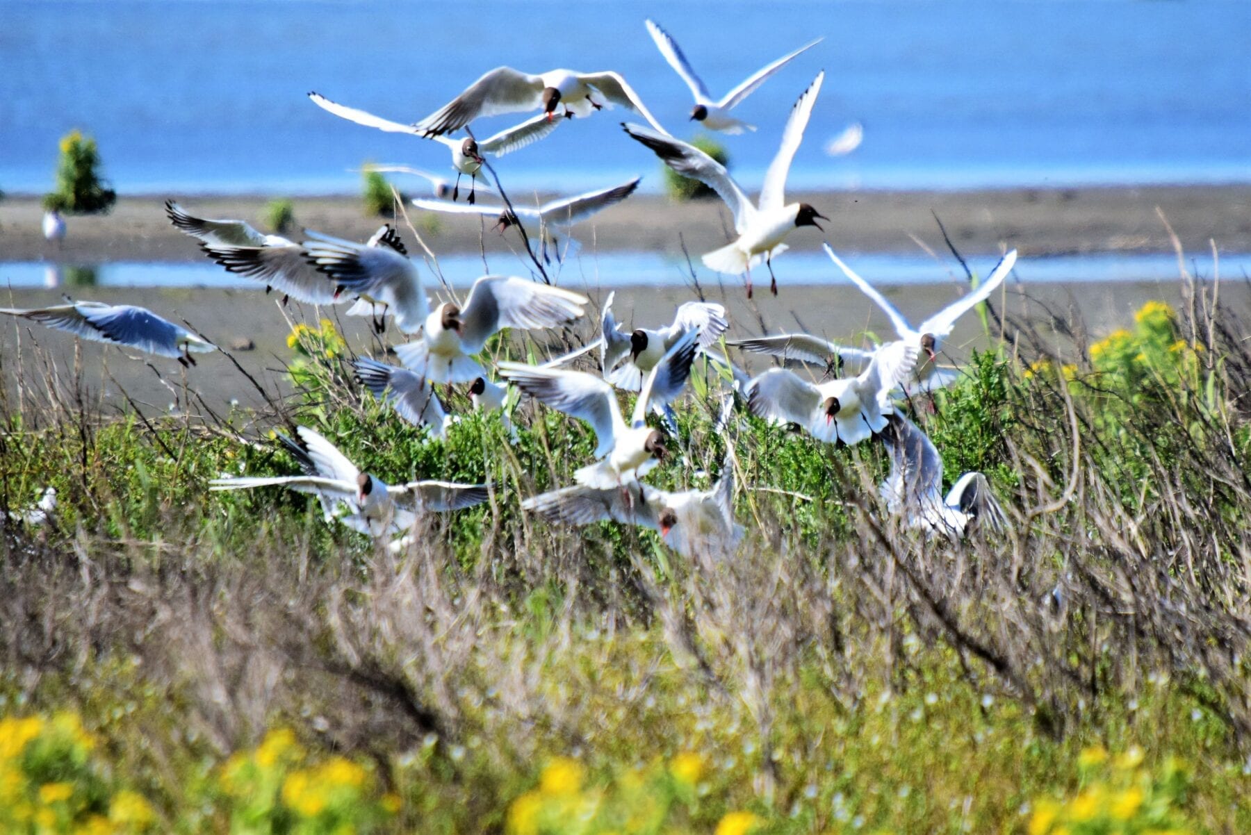 Geniet met en voor de natuur in Nationaal Park Nieuw Land