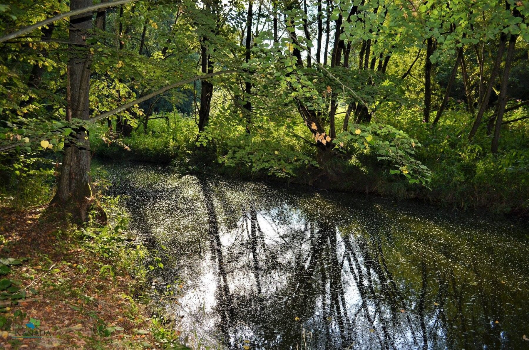 herfstwandelingen in Tsjechië