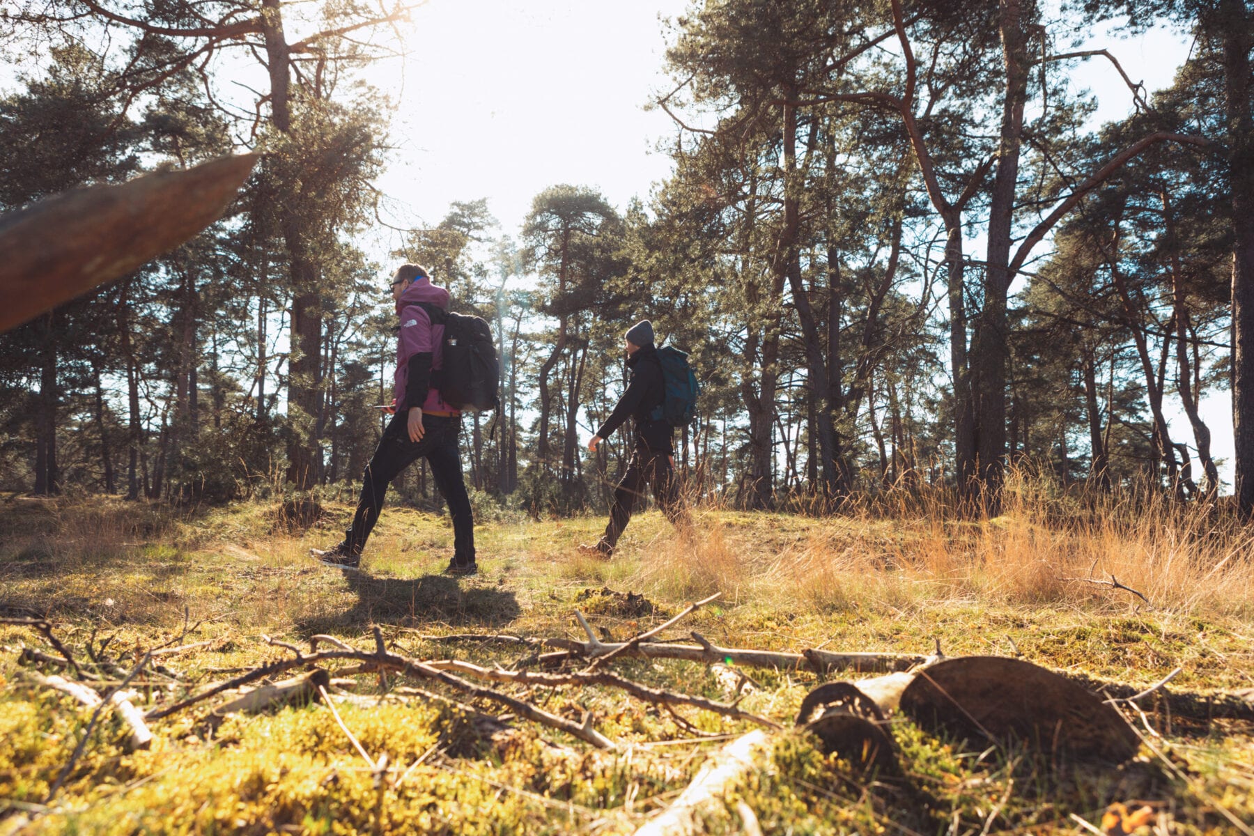 mooiste wandelroutes zoeken - langeafstandswandeling