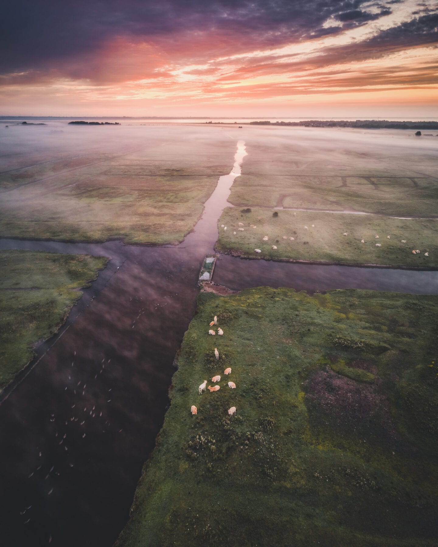 Nationaal Park De Oosterschelde