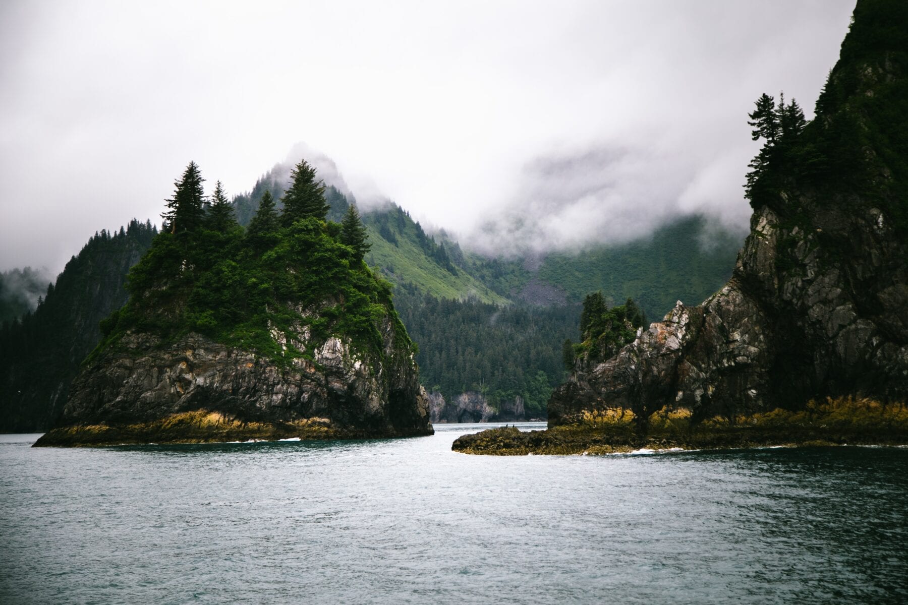 Kenai Fjords Alaska