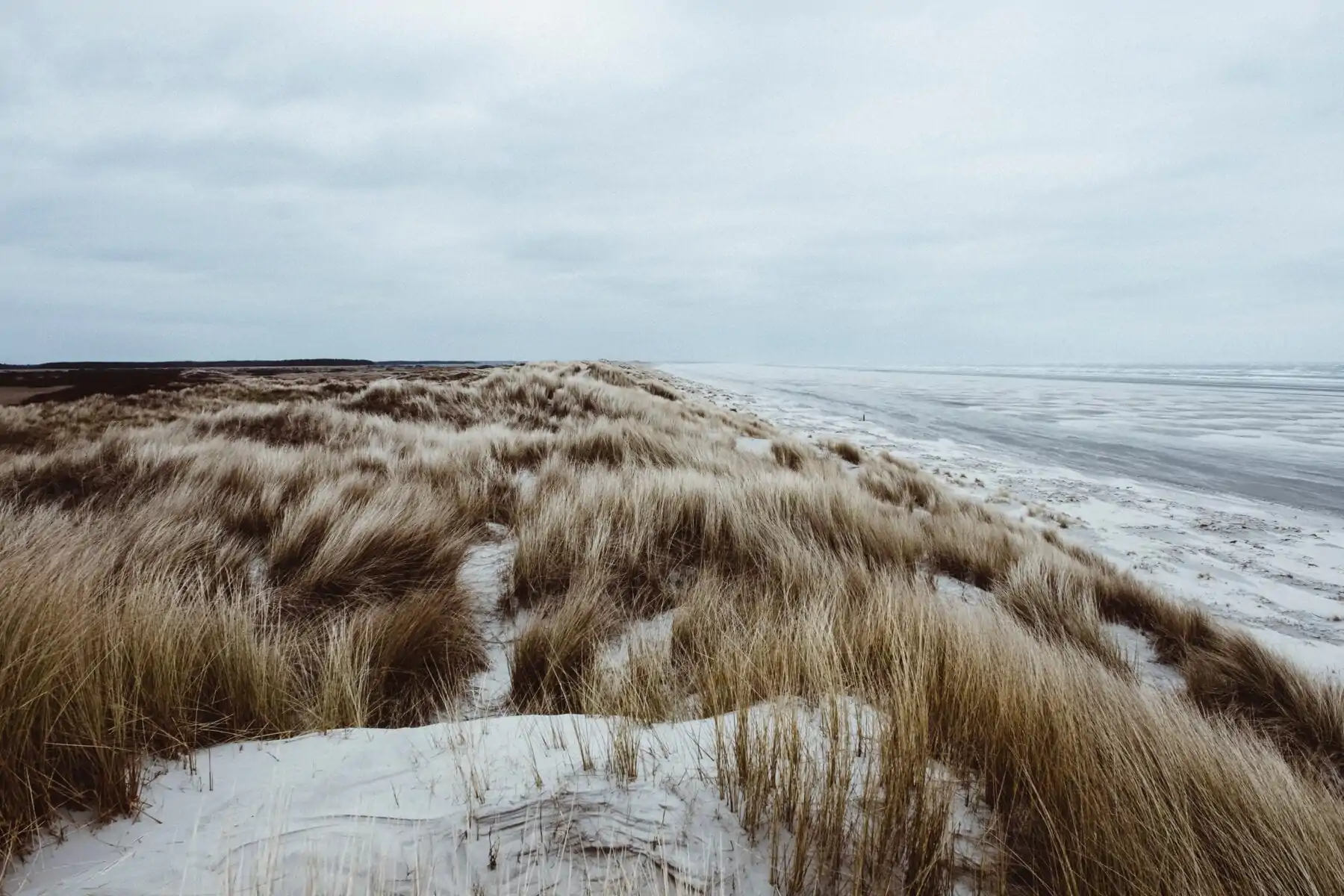 Nederlands kustpad Noordzee