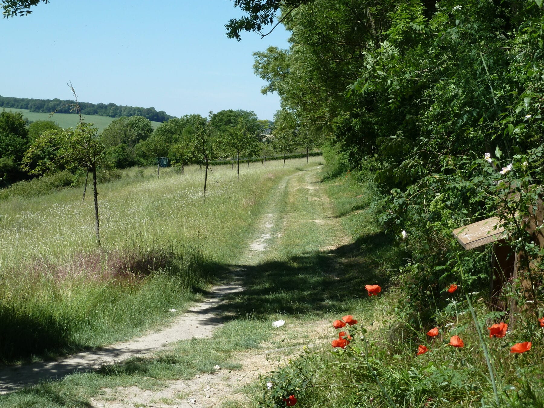 Route des vins Zuid-Limburg heuvels