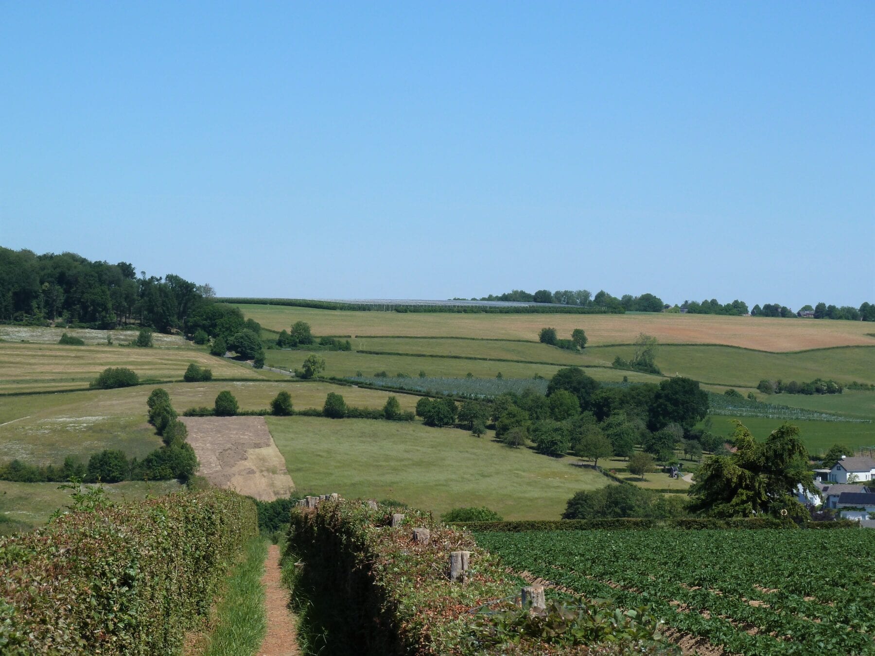 Route des vins Zuid-Limburg de paden op