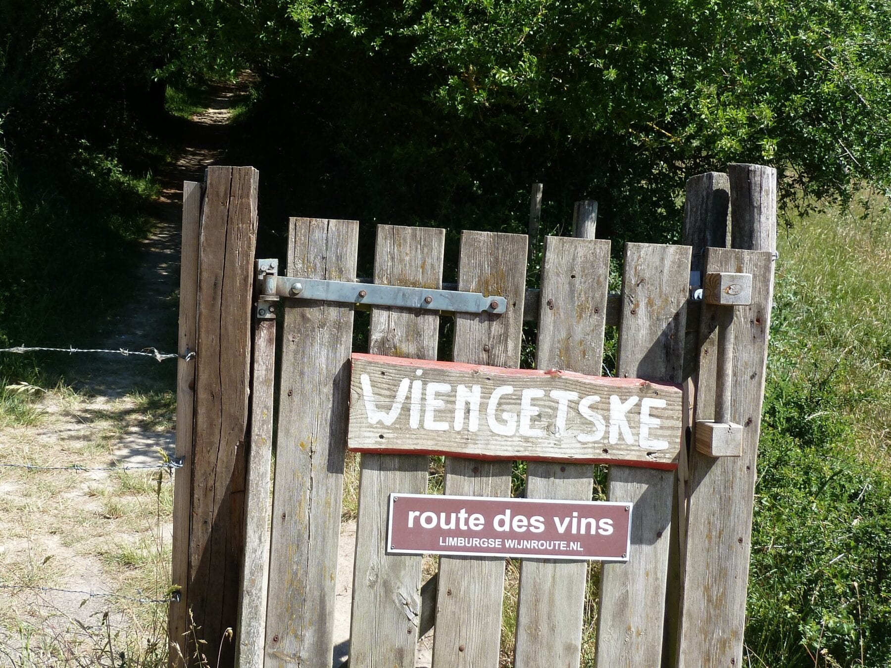 wiengetske