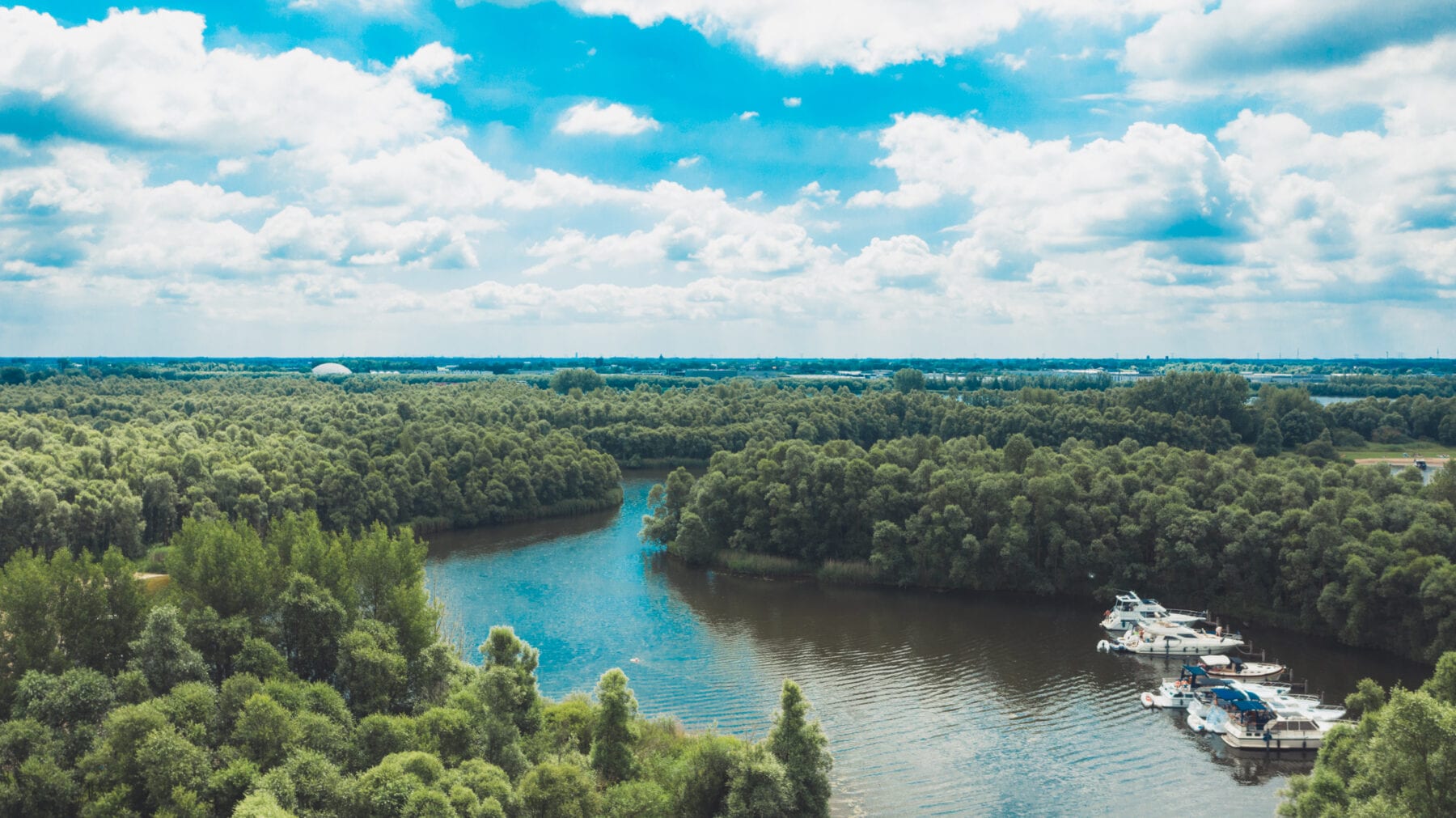 De Biesbosch