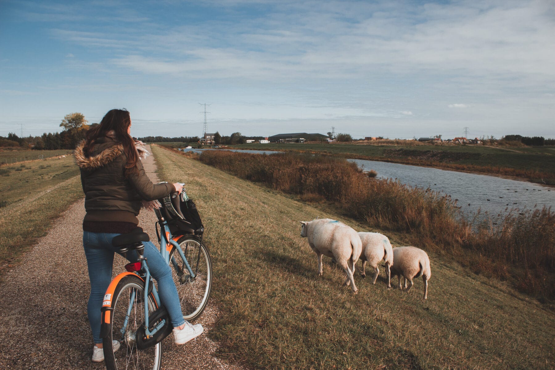 Biesbosch fietsen