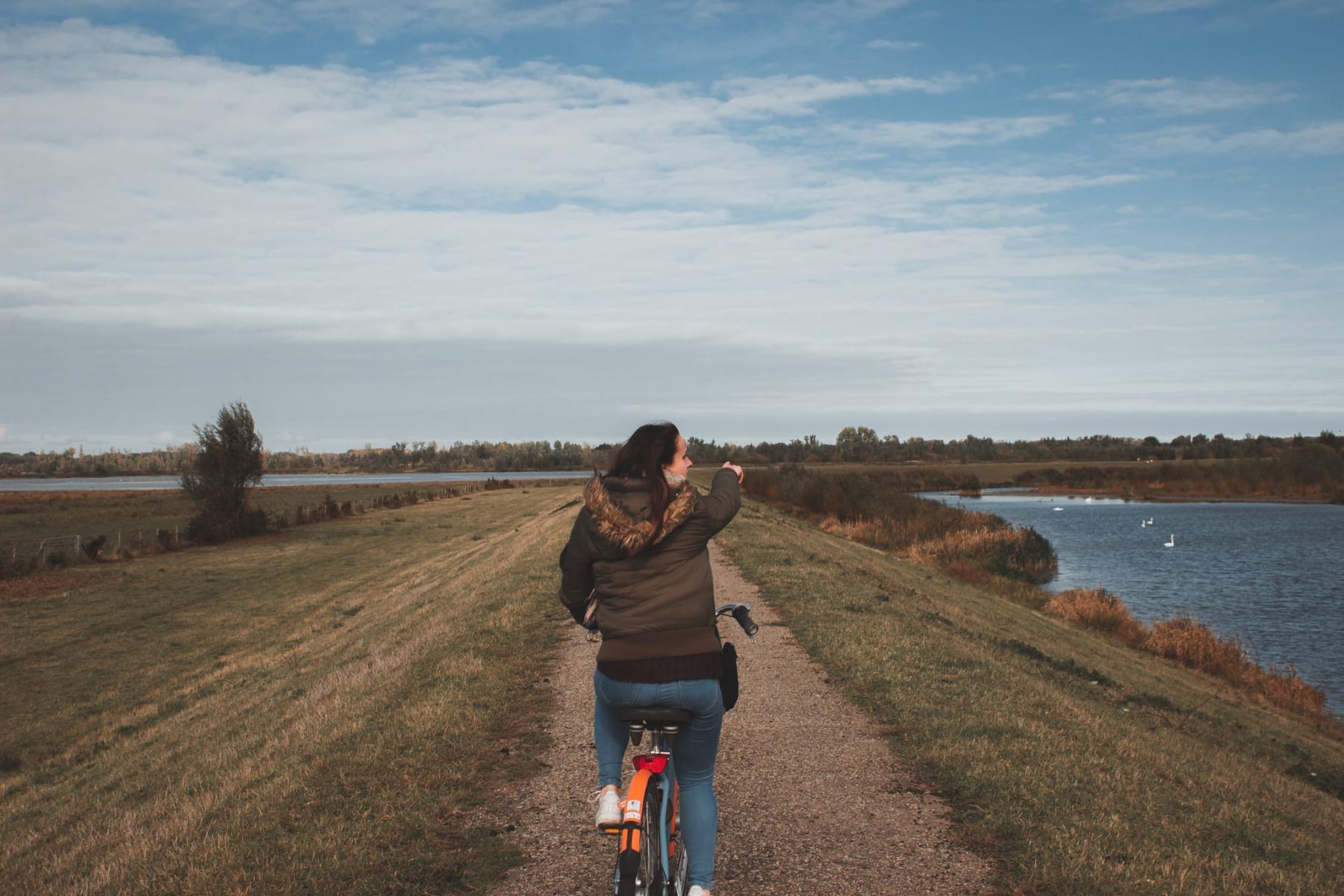 Ontdek Nationaal Park de Biesbosch vanuit Dordrecht - The Hike