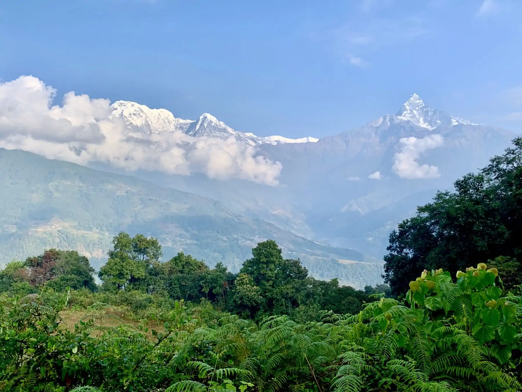 Mardi Himal Trek