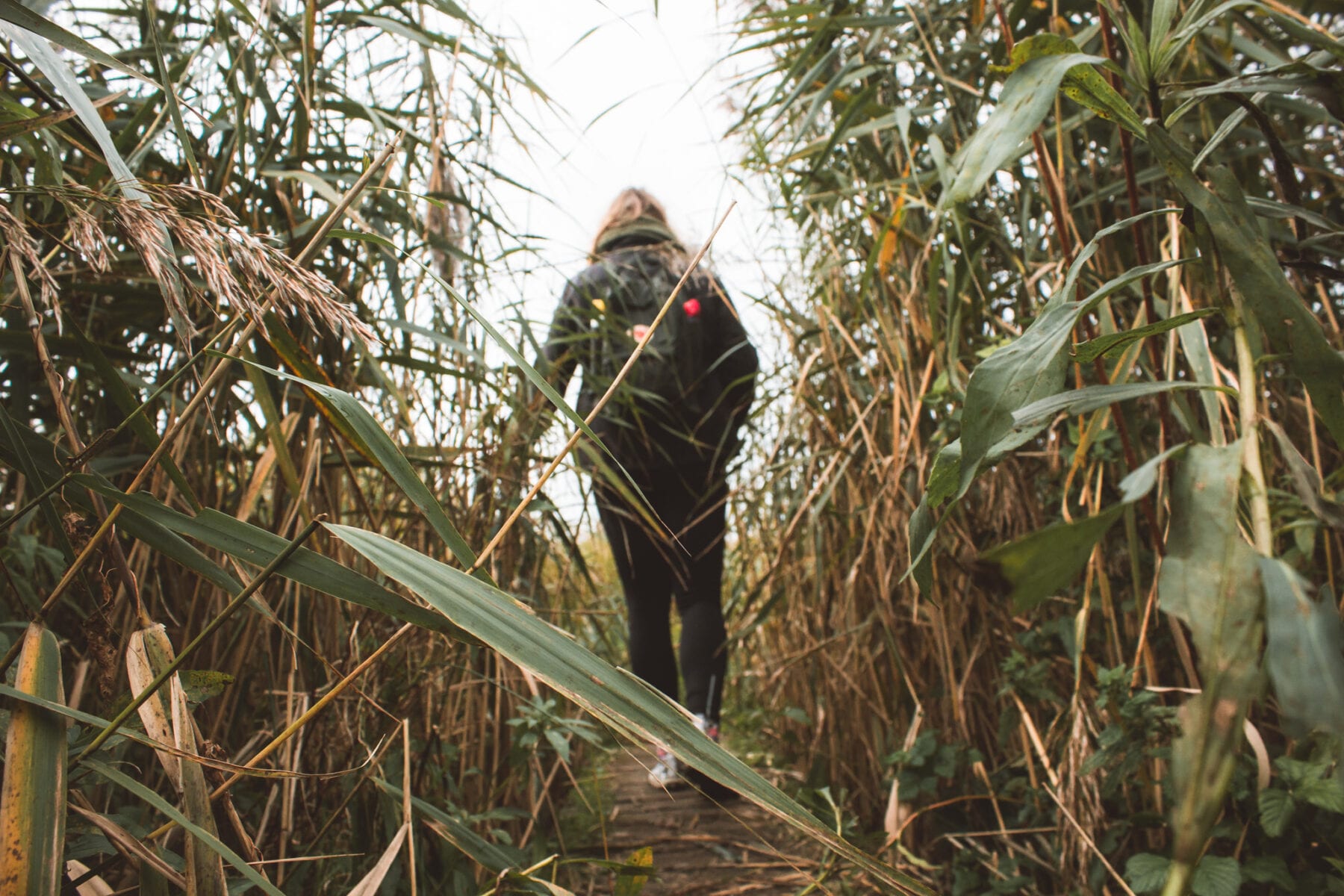 Tiengemeten wandelen