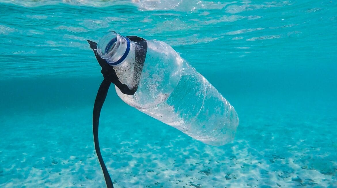Algemeen kapitalisme Brullen Lifehack: Zo kan je met een plastic fles water uit de zee filteren - The  Hike
