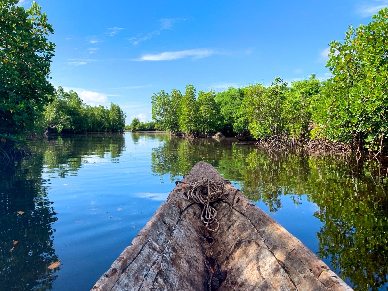 CO2 compenseren mangroves