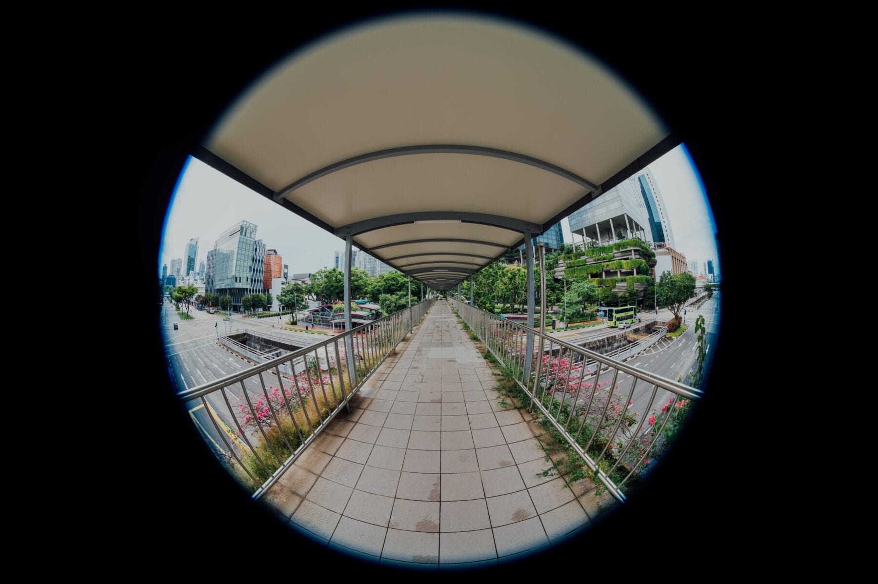 smartphone fotografie fisheye