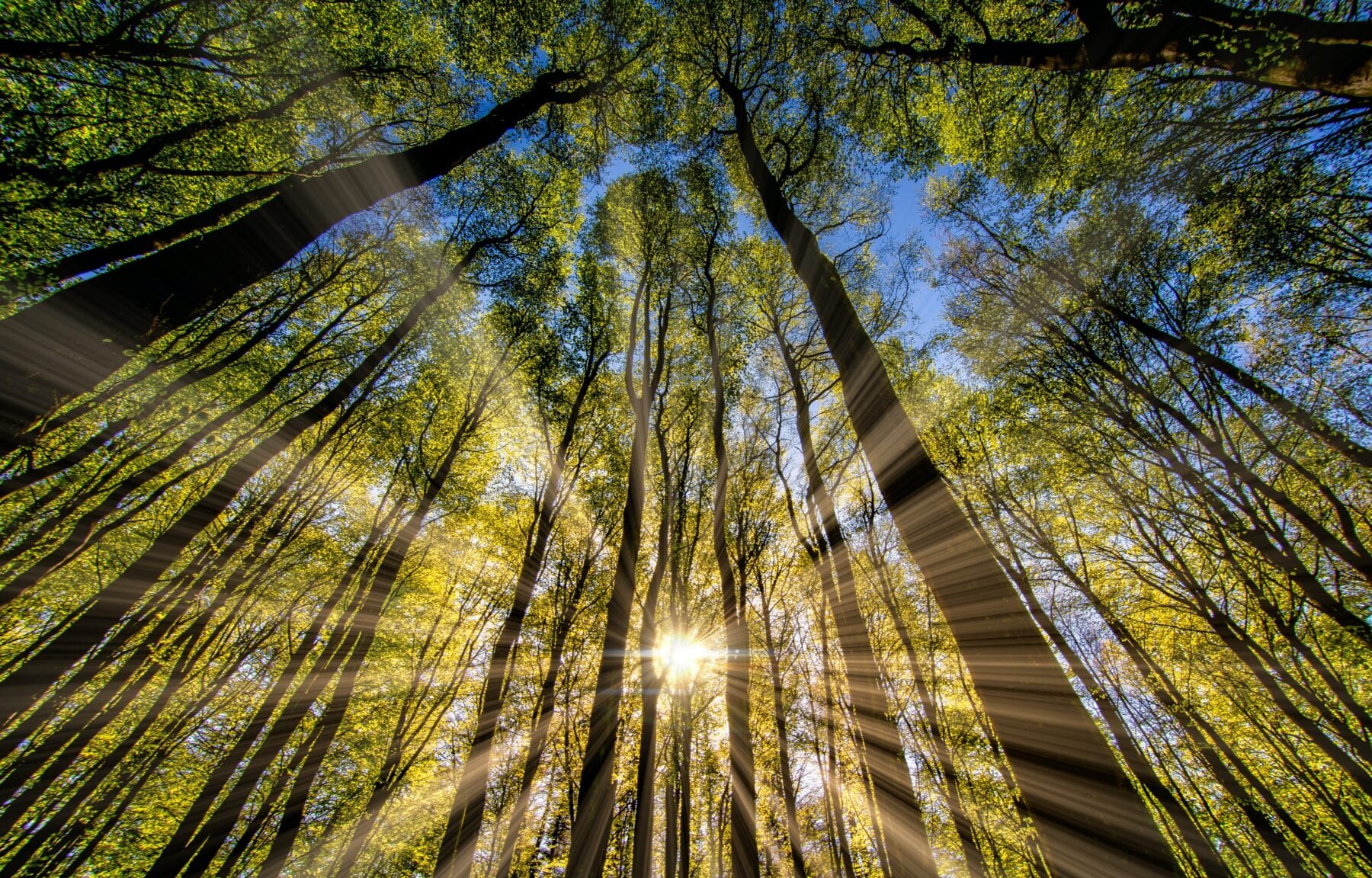 smartphone fotografie licht