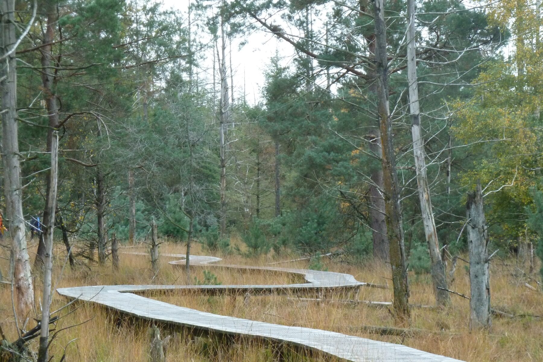 wandelgebieden Nederland