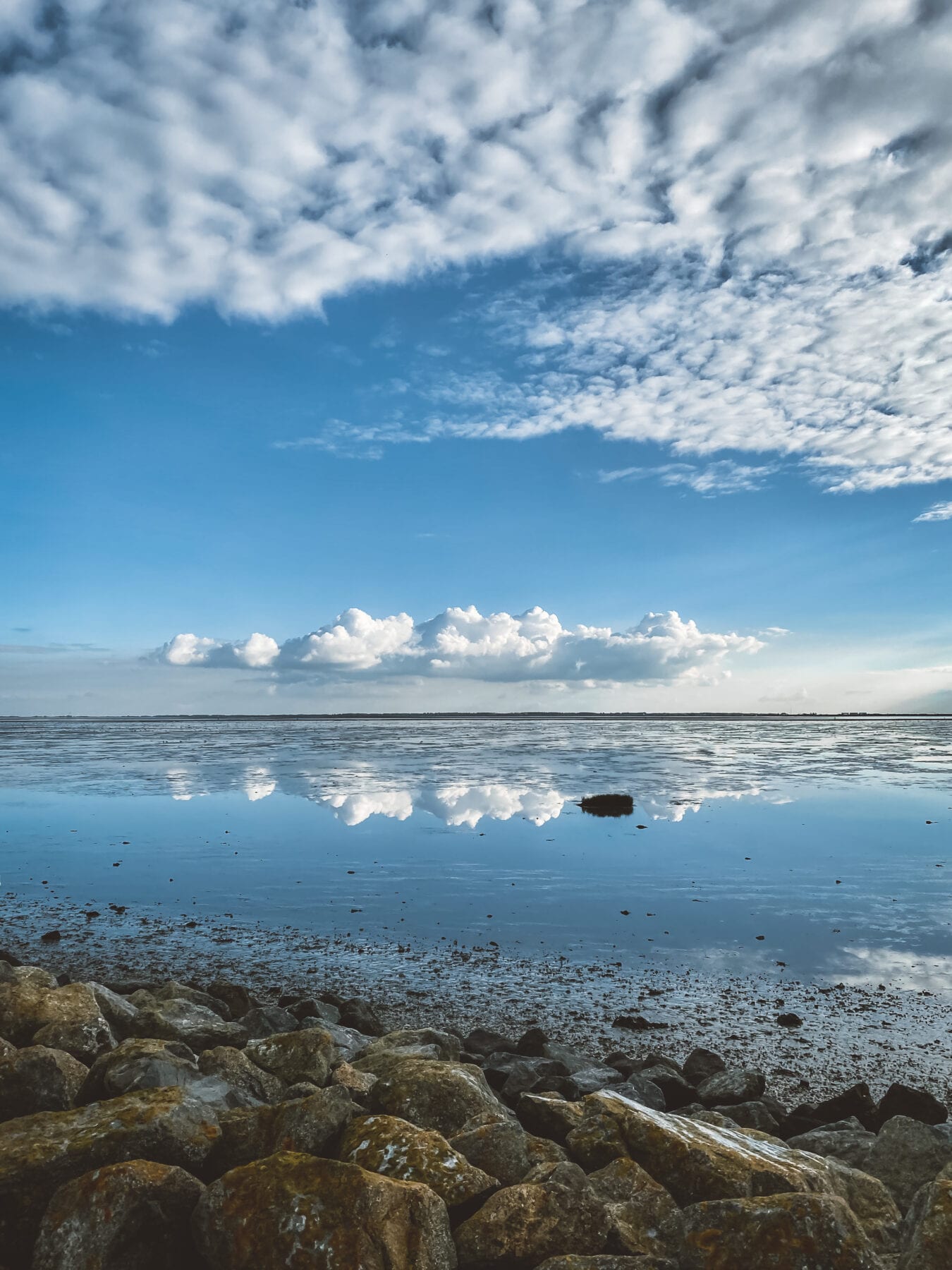 het waddengebied