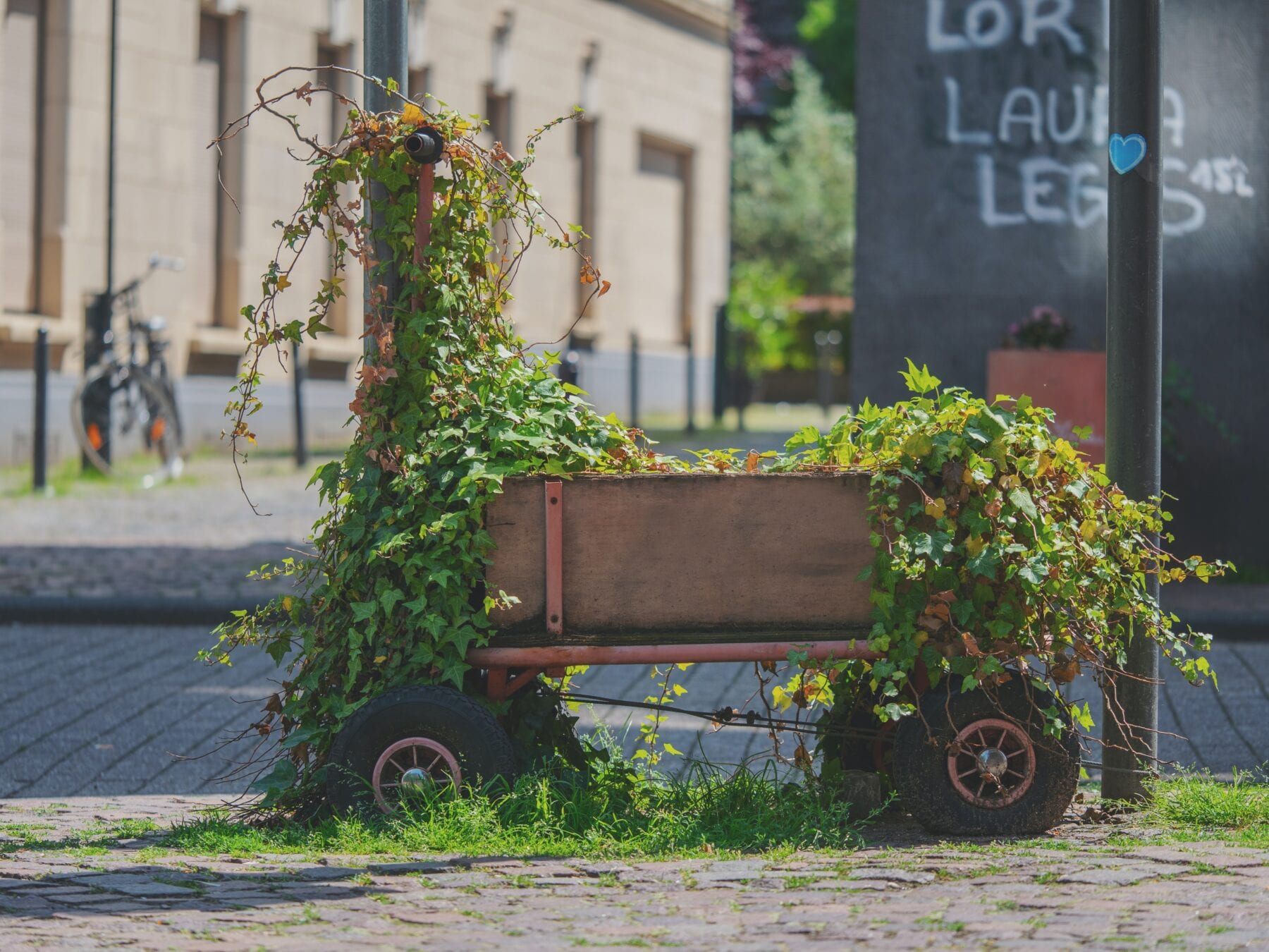 Bolderwagen / Handcart begroeid met klimop