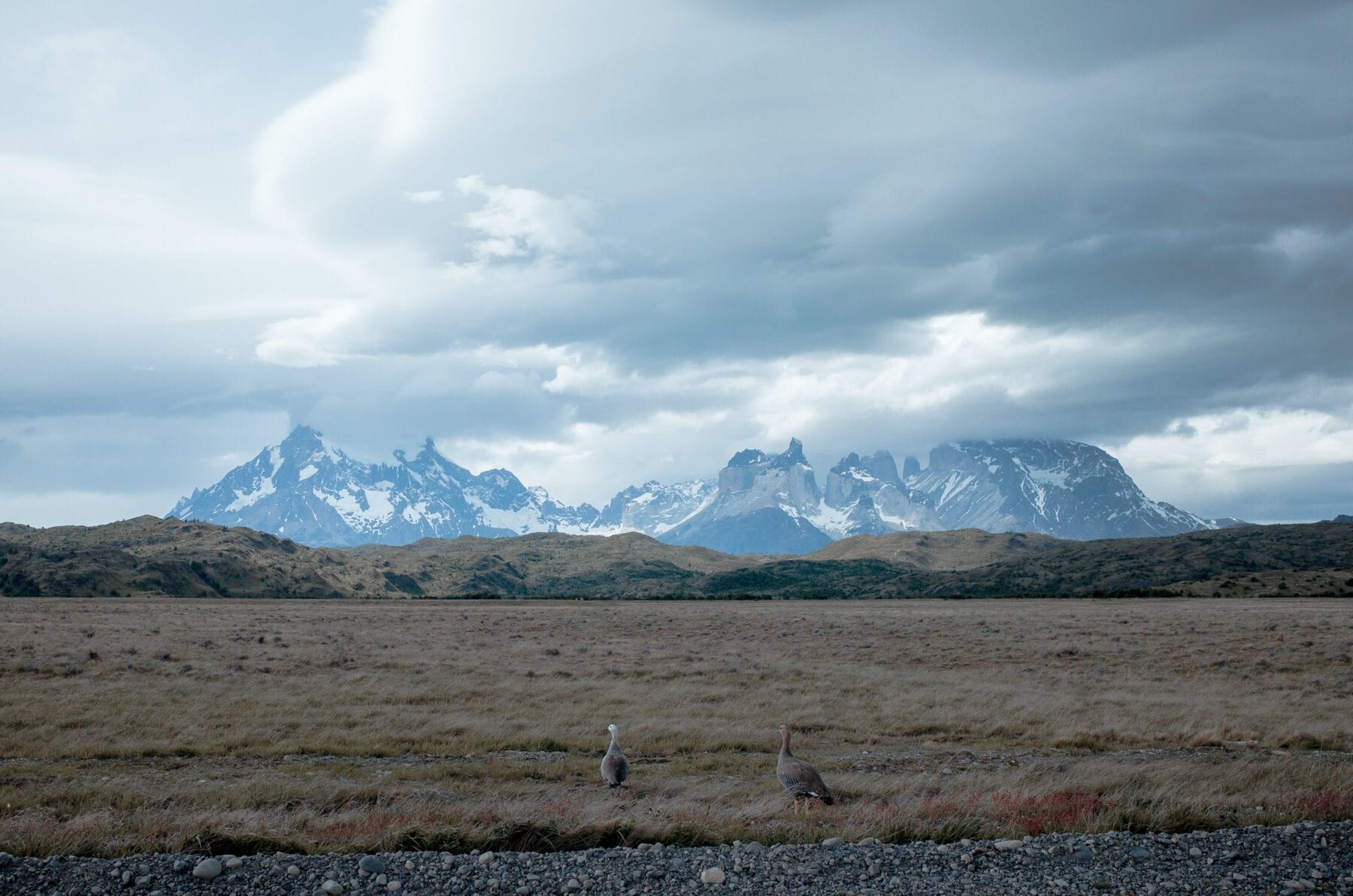 Patagonie horizon