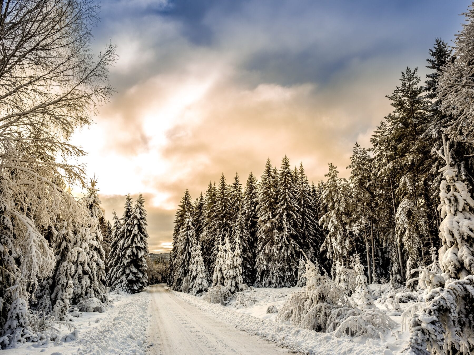 Foto's Zweden sneeuw