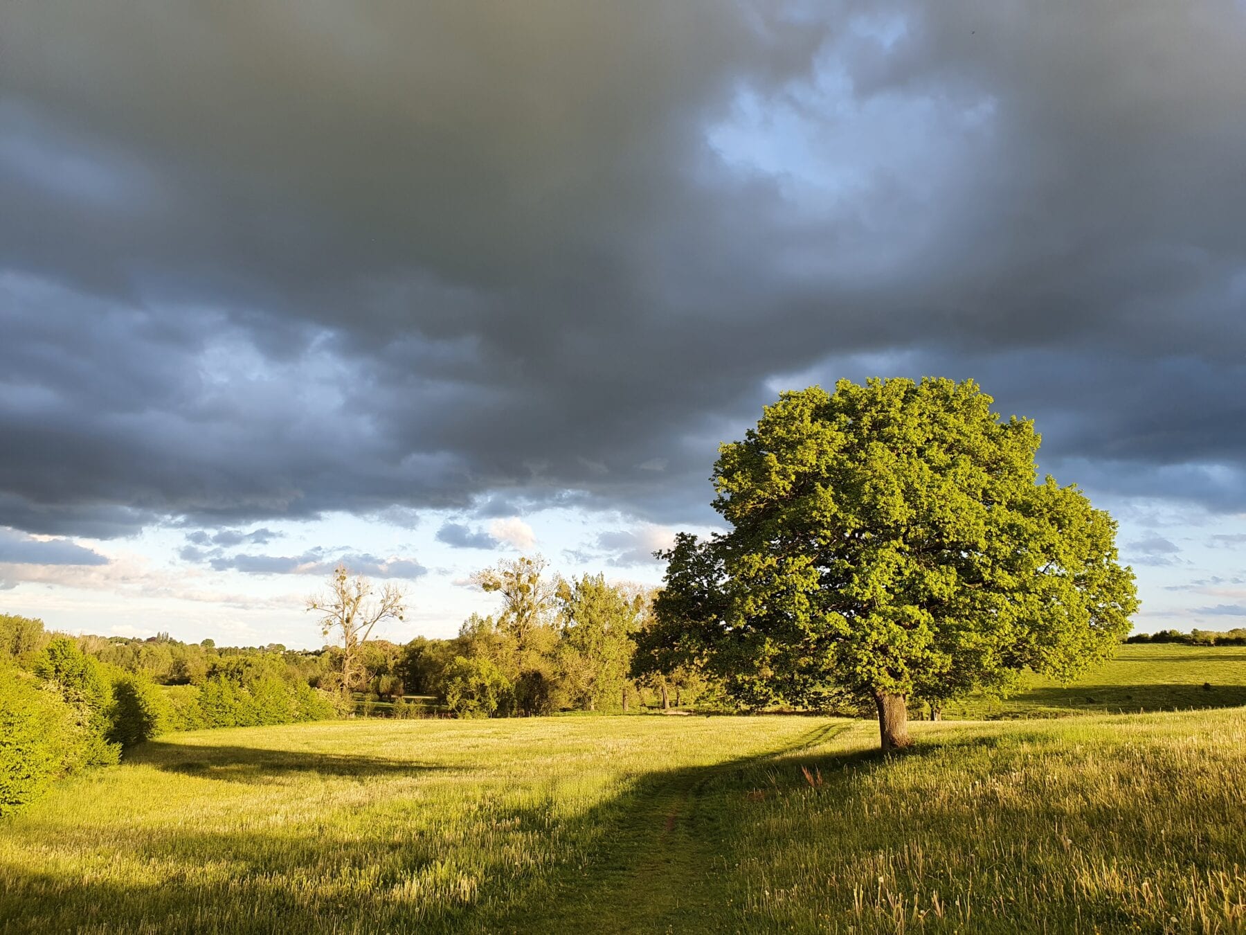 Wandel groepsreis in Limburg