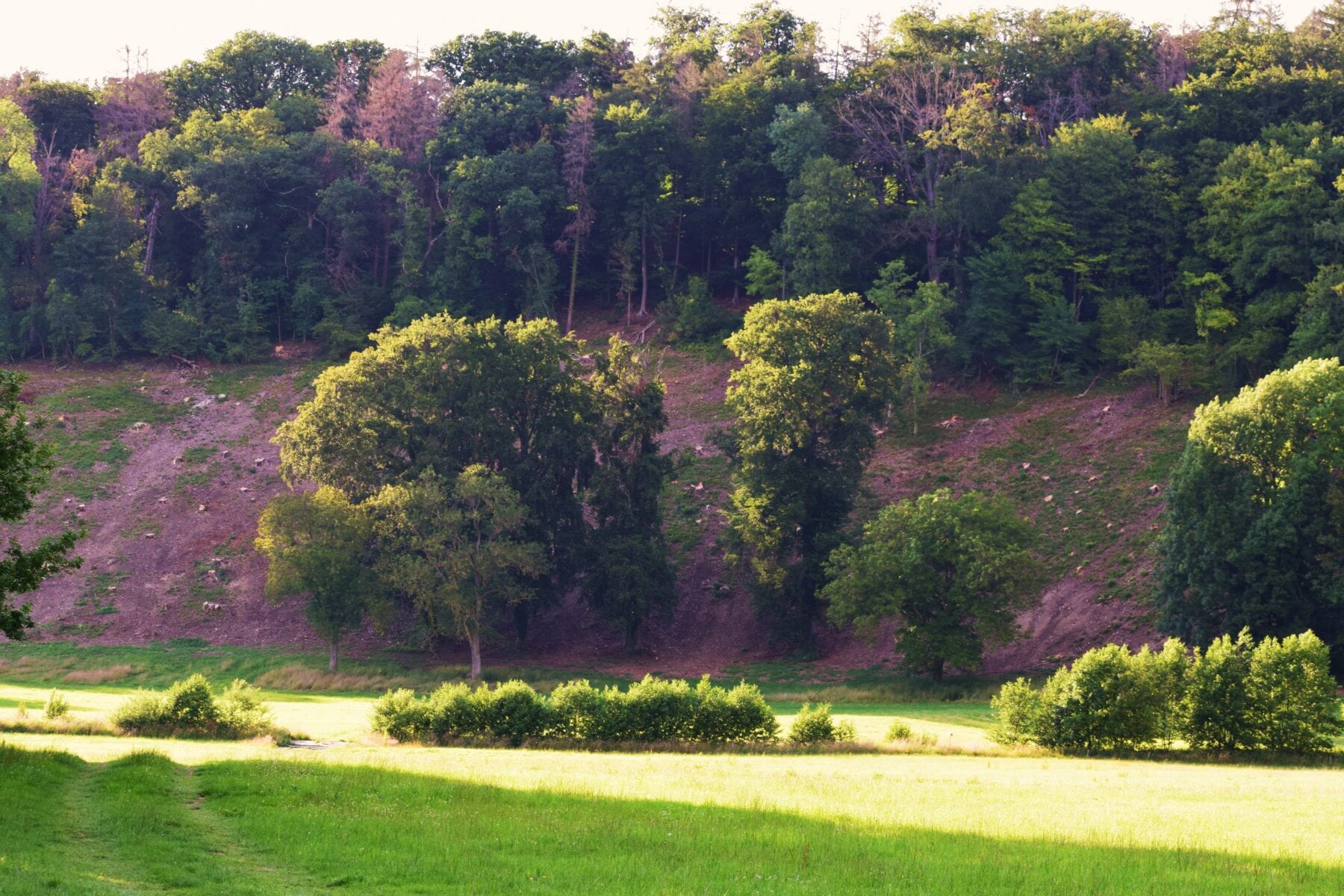 Hoogste bergen van Nederland Seven Summits Zuid-Limburg Noorbeek