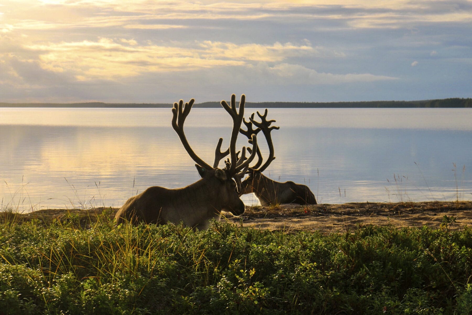 duurzaam Finland
