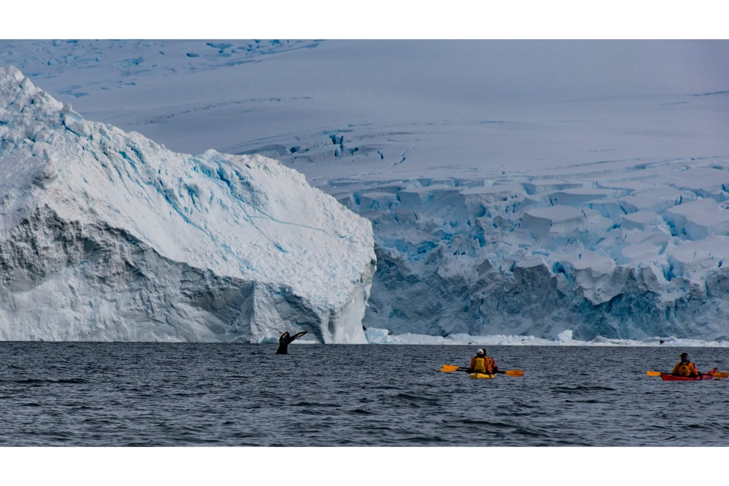 reis naar antarctica