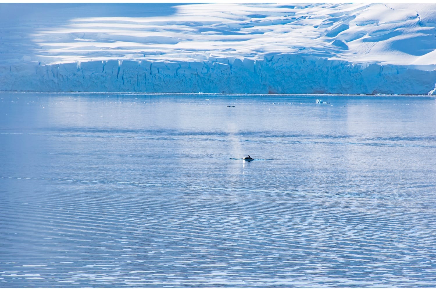 reis naar antarctica