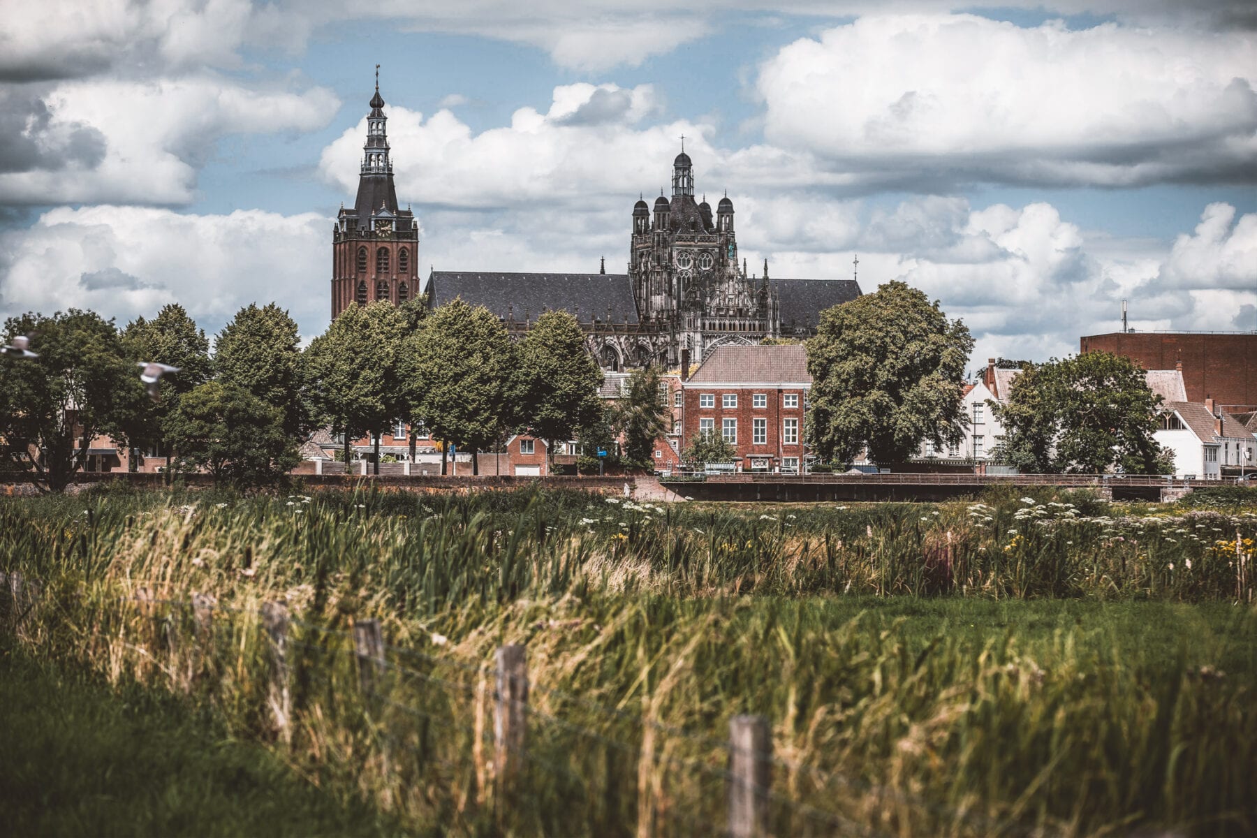 Rondom de Sint Jan Den Bosch Bossche Broek