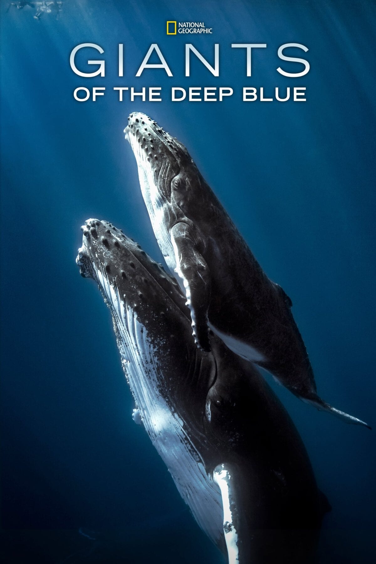 Giants of the Deep blue