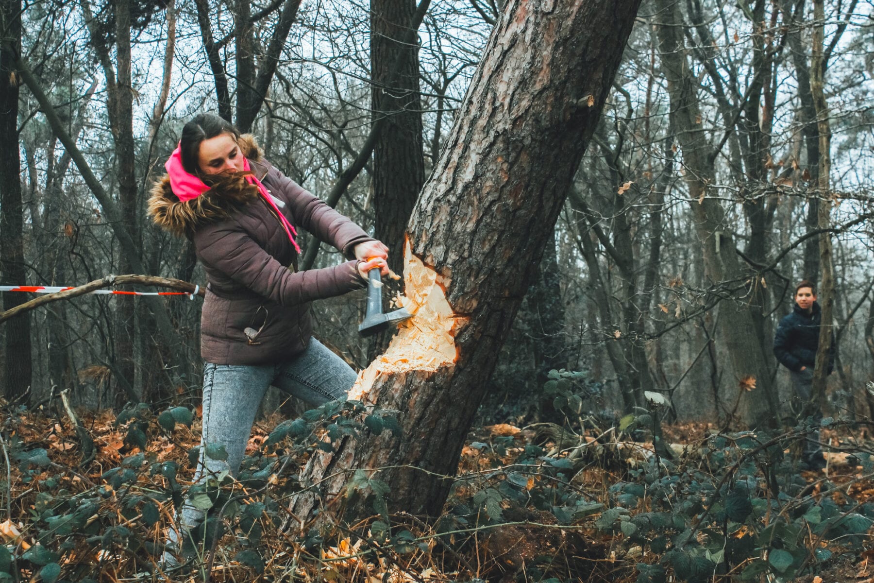 Boom omhakken - hout hakken