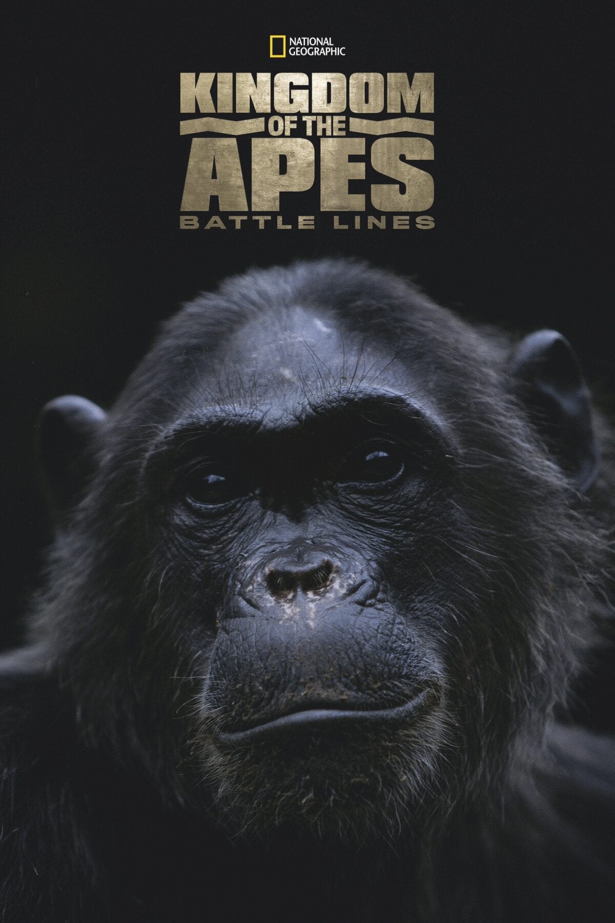 Disneyplus Kingdom of the apes