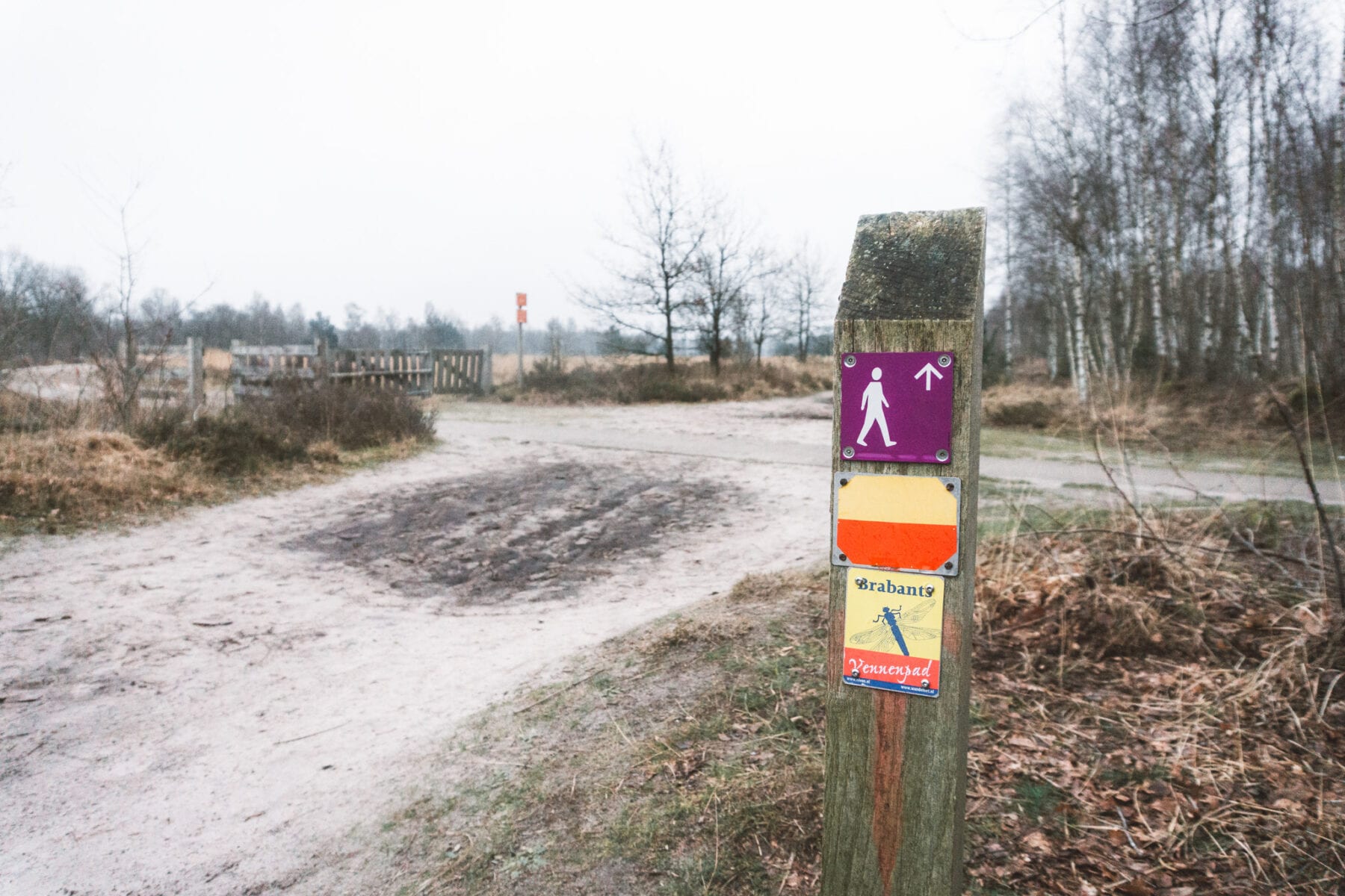 Wandelen in de Kempen-Cartierheide