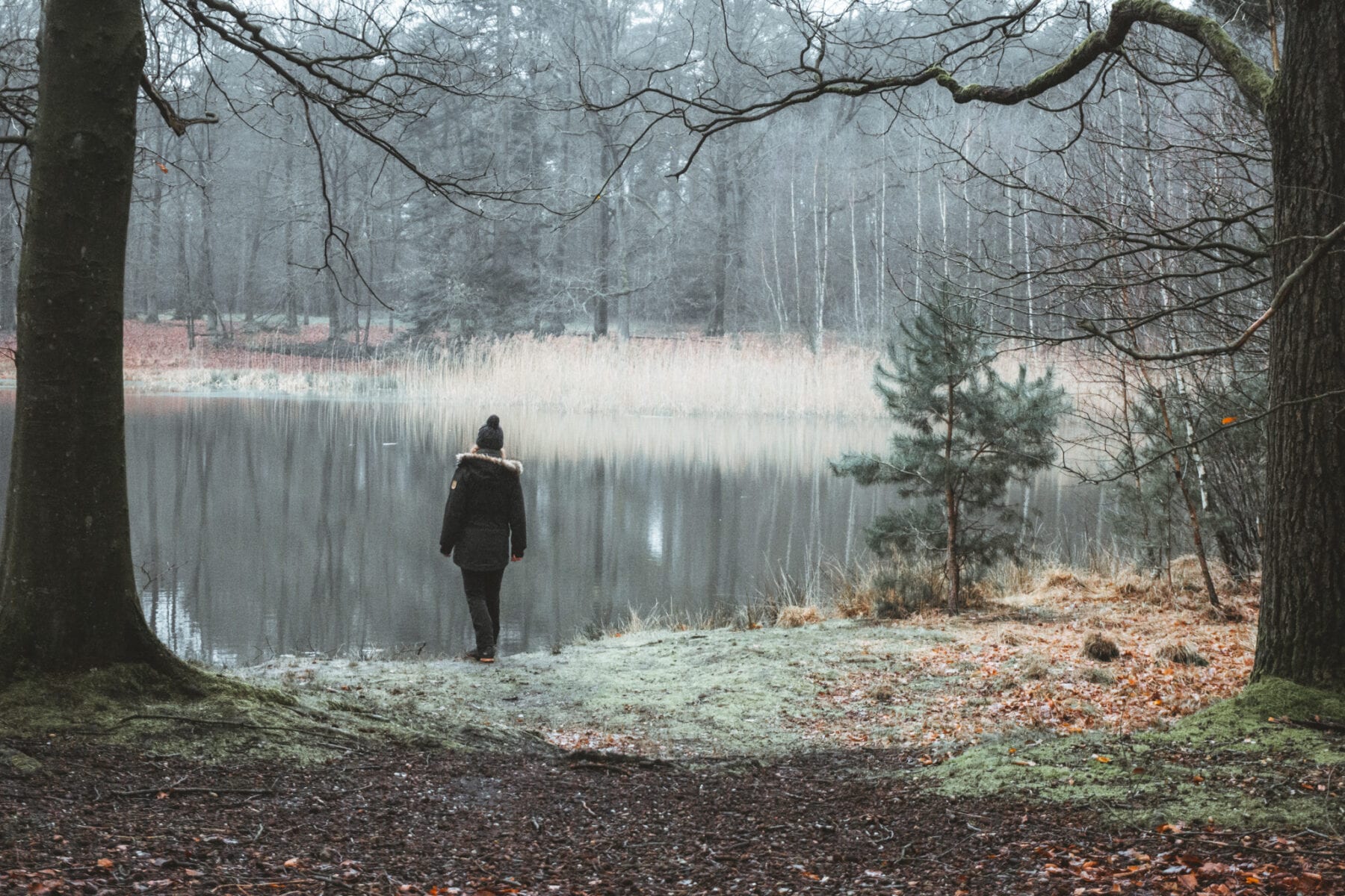 Wandelen in de Kempen-Cartierheide