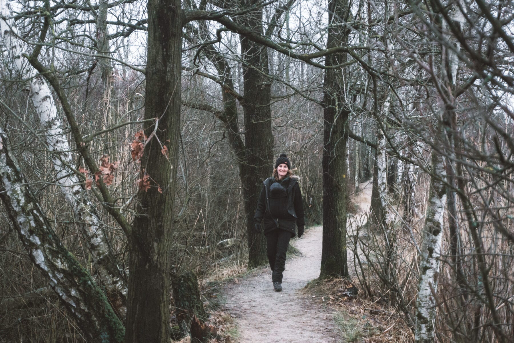 Wandelen in de Kempen-Cartierheide