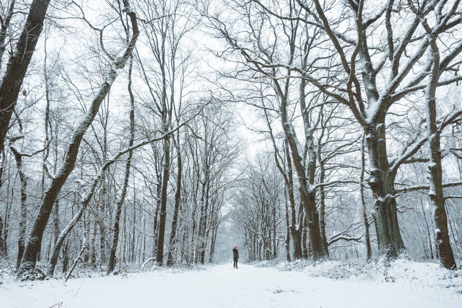 wandelen Valkenswaard-de plateaux hageven-vloeiweidenpad