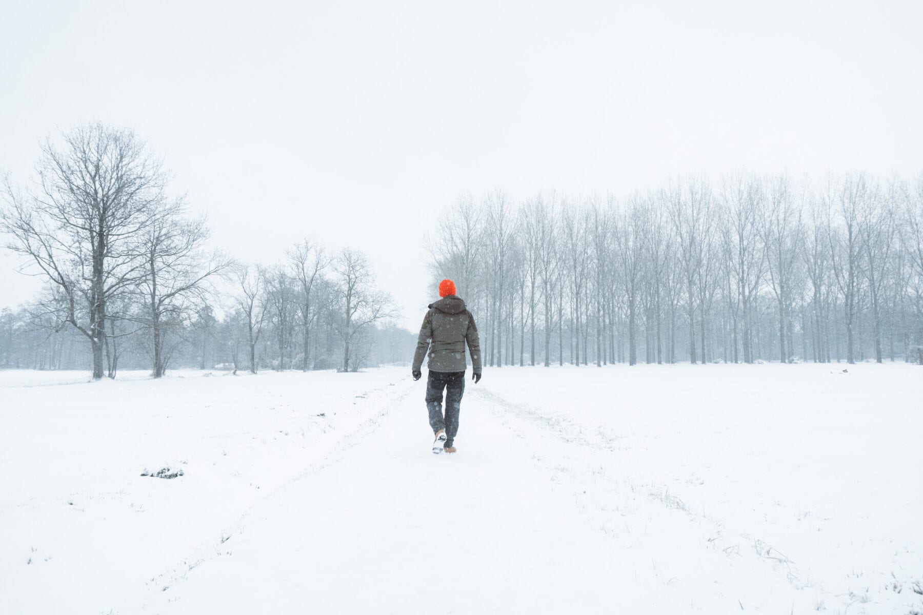 wandelen Valkenswaard-de plateaux hageven-vloeiweidenpad