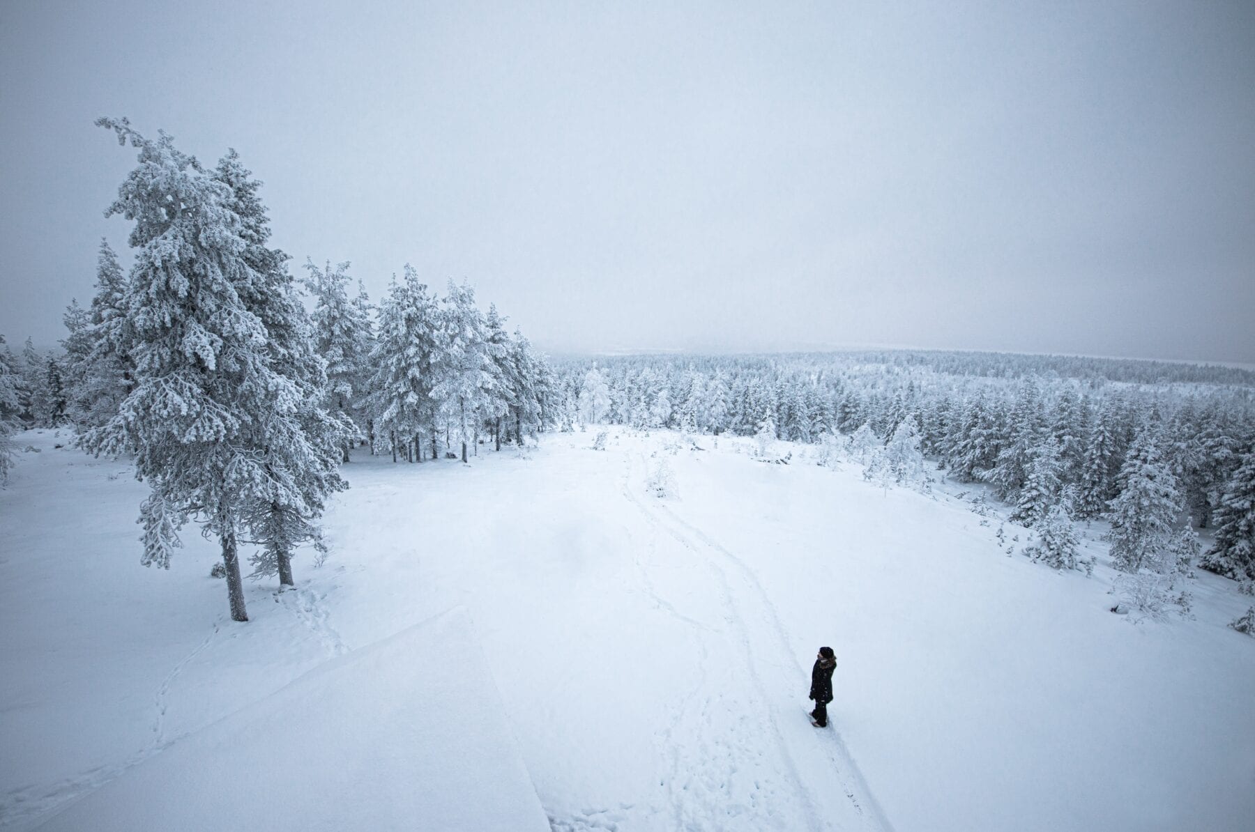 25 prachtige foto's van Lapland wildernis