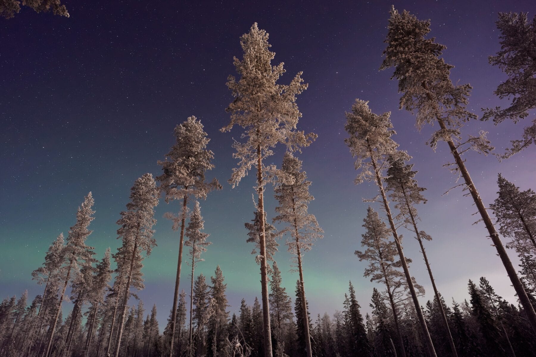 25 prachtige foto's van Lapland Noorderlicht