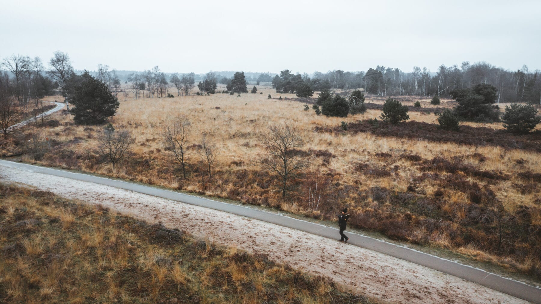 Wandelen in de Kempen-Cartierheide