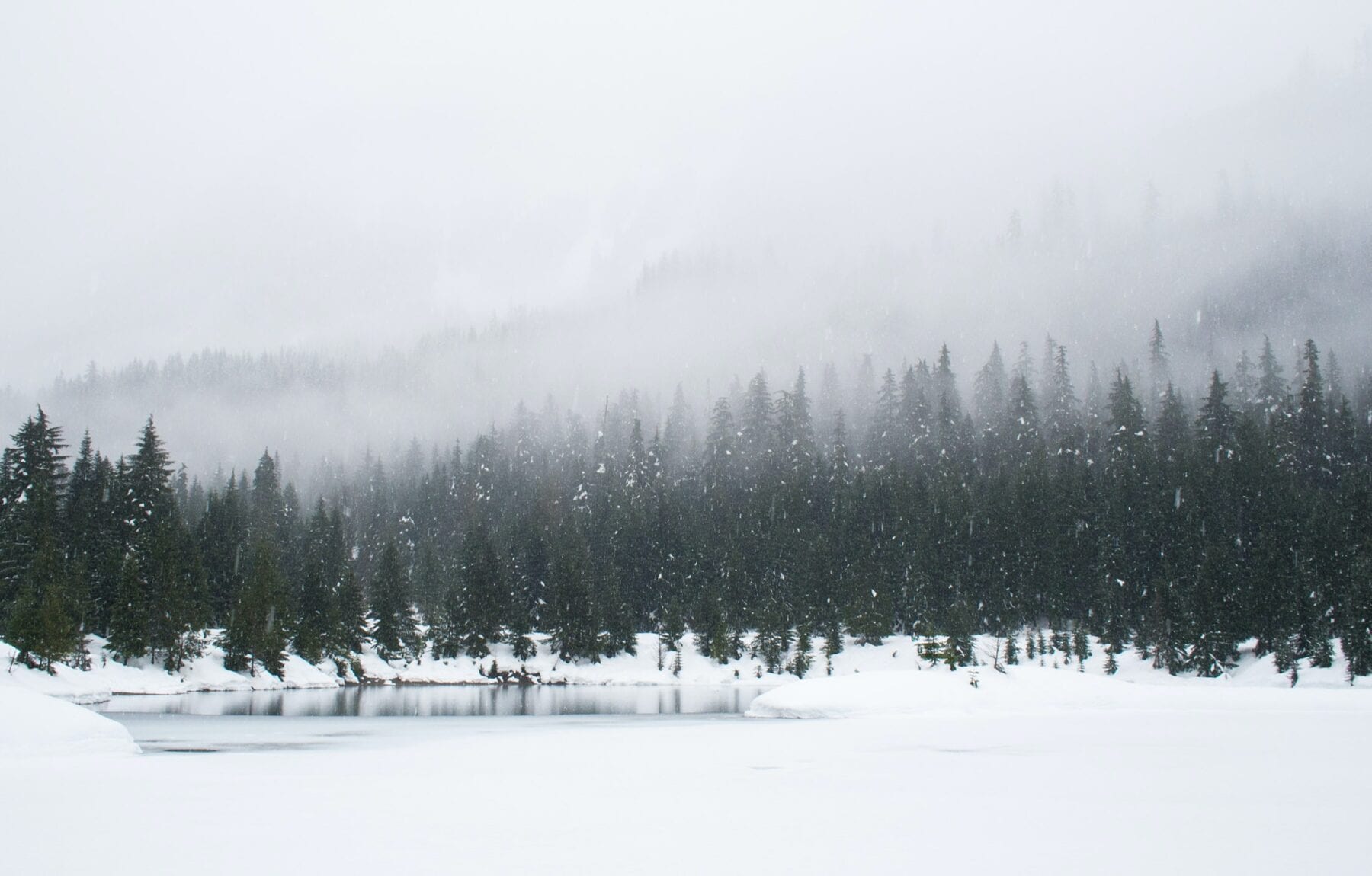 Sneeuw landschap